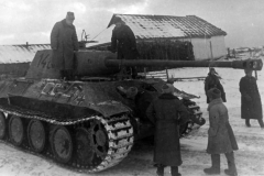Panther_146_2