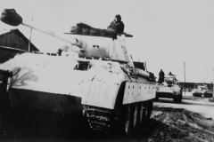 Panther_18