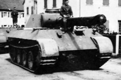Panther_19