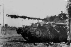 Panther_200