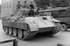 Panther_215_italy_44_2