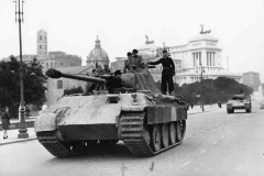 Panther_215_rome_44_4
