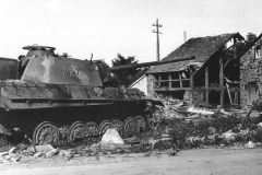 Panther_221_2
