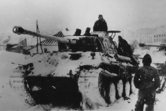 Panther_224