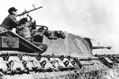 Panther_313