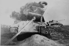 Panther_322