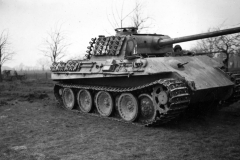 Panther_323_pz_Lehr_Rgt_130_2