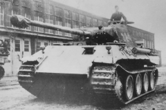Panther_324_2
