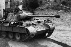 Panther_401_italy_summer44