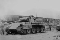 Panther_445_GD_aug_43
