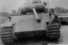 Panther_445_and_Tiger_11_of_Grossdeutchland
