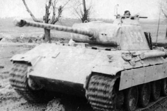 Panther_523_GD
