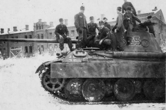 Panther_525