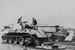 Panther_732