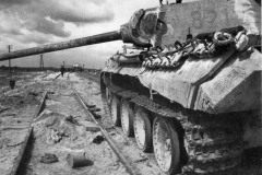 Panther_821