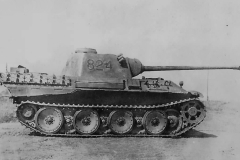 Panther_824_2