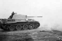 Panther_9