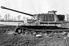 Panther_A
