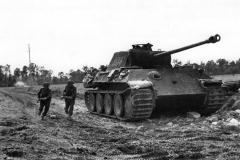 Panther_A_204_Normandy