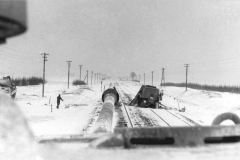 Panther_A_5ss_wiking_1944