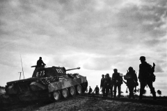 Panther_A_Wiking