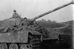 Panther_Annelies_116