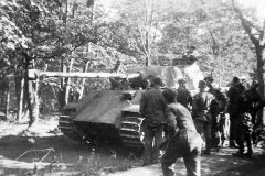 Panther_Ausf_D_1944