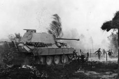 Panther_Ausf_D_1944_Eastern_Front