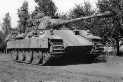 Panther_Ausf_D_Medium_Tank