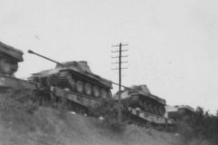 Panther_Bahntransport
