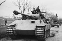 Panther_D_Nettuno_1944