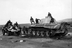 Panther_D_italy_43
