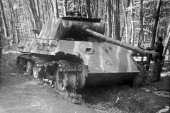 Panther_G