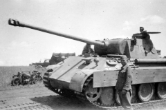 Panther_GD_734