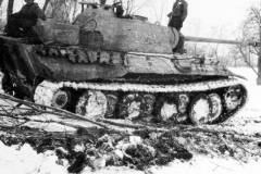 Panther_I03