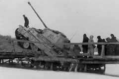 Panther_II02