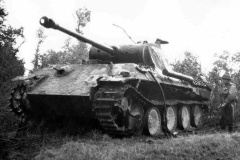 Panther_Tilly-sur-Seulles_44