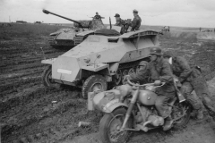 Panther_Wiking
