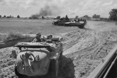 Panther_Wiking_1