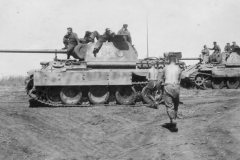 Panther_ausf_D_tanks_732_and_721