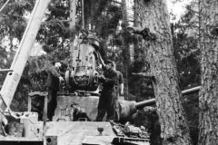 Panther_ausf_G_5