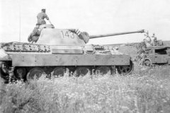 Panther_bumber_143
