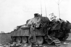 Panther_destroyed_by_101st_Airborne_Erf_Holland_Market-Garden_23sep44