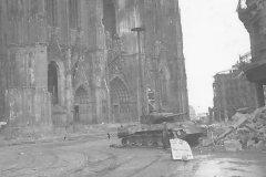 Panther_in_Cologne_Germany