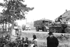Panther_in_Hungary