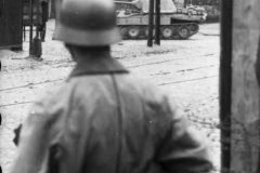 Panther_in_Warsaw