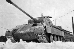 Panther_number_121