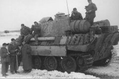 Panther_number_123