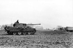 Panther_number_135_Poland_1944