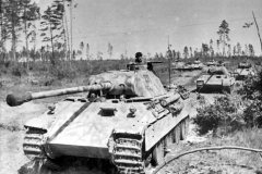 Panther_number_211